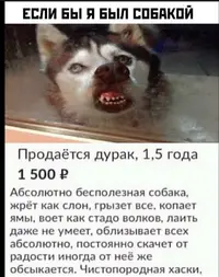 20210308_140456.webp
