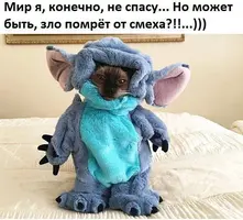 kh-NjCmvPy8.webp