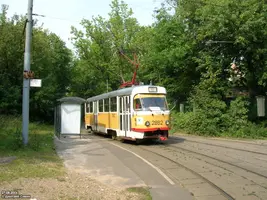 17288.webp