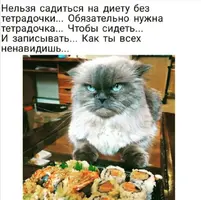 Screenshot_20210309_190213.webp