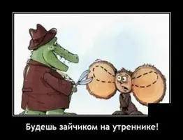 15339584.webp