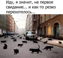 15339151.webp