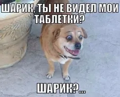 20210311_123250.webp