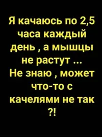 1586707653146183181.webp