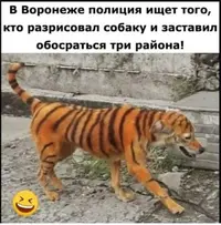 1615485011153647779.webp