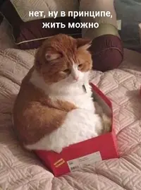 AAUIXhLpRbo.webp