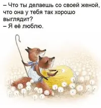photo_1558300092.webp