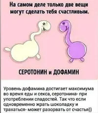 Screenshot_20210314_152932.webp