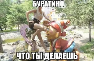 15348093.webp