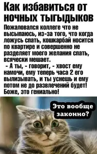 IMG-8923e45610aedba9cca66179ec8e5e20-V.webp