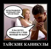 26.webp