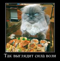 10170663.webp