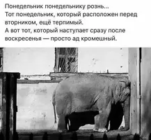 onoff69_20210315_24.webp