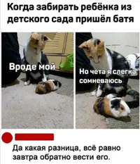 Screenshot_20210316_164348.webp