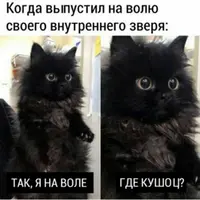 15356771.webp