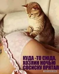 15354647.webp