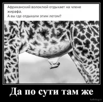 fc4fd8ca4b8e5aa50b2a9f7804d901e3.webp