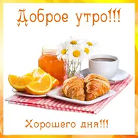 20527748.webp