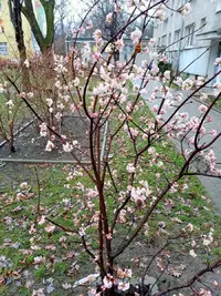 img20210316171224.AjMyb.webp