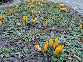 img20210317174753.lGDCo.webp