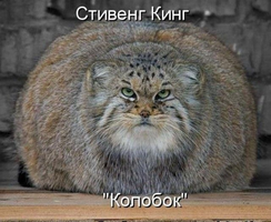 15361726.webp