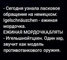 15362054.webp
