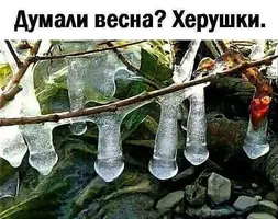 IMG-d25e076a72b71de4fbeebc396ca7c225-V.webp