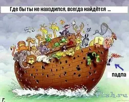 16-55-30-2e768bf49debefc04cf73c95f21942df.webp