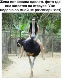 SKshsrKX9qw.webp