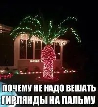 (1).webp