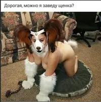 (3).webp