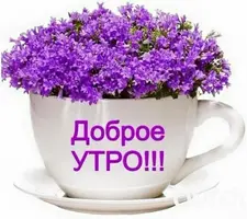 9742876989b7e9d9ff8ea745485df33e.webp