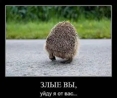 5ZjHTtf3sbk.webp
