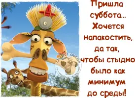 2021-03-20-11-48-54.webp