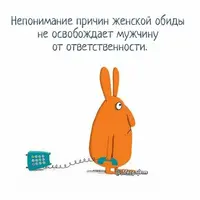51331cea7c0154290fbf1bbf900525ed.webp