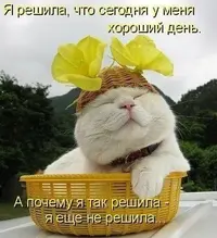 jfTI9MGNmxk.webp