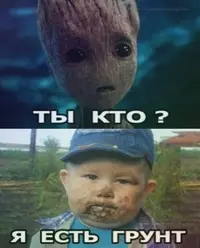 160294922118489246.webp