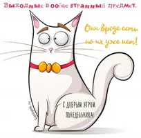 e829b93bcb89e56d2d3746c38692b773.webp
