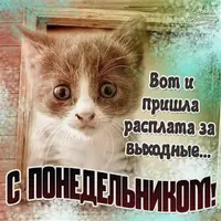 2021-03-22-11-14-34.webp