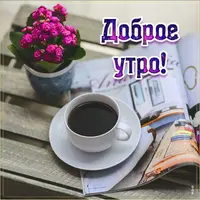 IMG-20210323-WA0004.webp