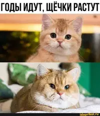 IMG-d619bf7799314492fa21f393b5aa891f-V.webp