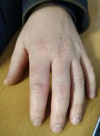 изображение_viber_2021-03-24_02-32-18.webp