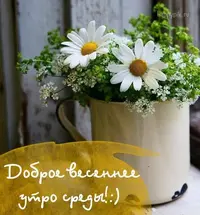 3aa47a86e2f25af65e44f9714f7cdf0a.webp