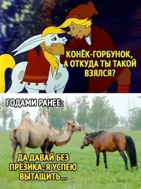 15380485.webp