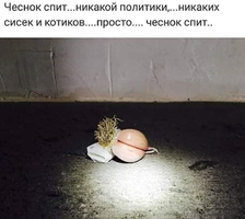 изображение_viber_2020-10-21_10-07-52.webp