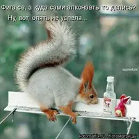 J1.webp