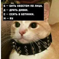 qeSohutiBnU.webp