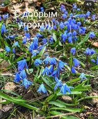 IMG_20210326_070937.webp