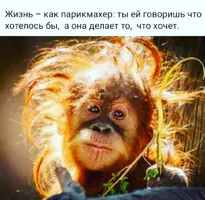 Screenshot_20210325_105047.webp
