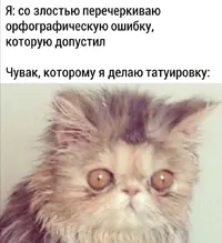 1582585854146154097.webp